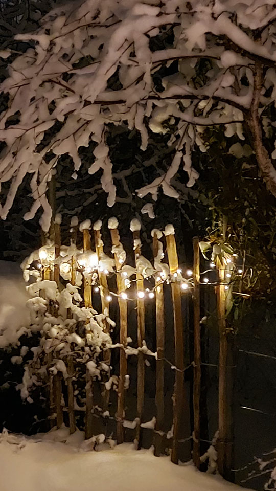 Stiltreu Haselnuss Staketenzaun bei Schnee mit Lichterkette